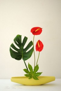 regula ikebana haine