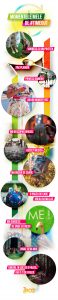 infografic timeout aveti si pe roz