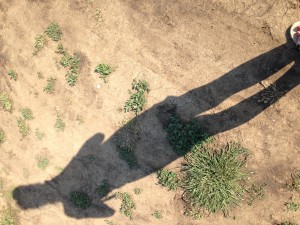selfie umbra