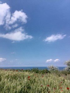 tuzla romania