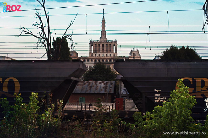 tren marfa