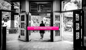 articol-berlin-aveti-si-pe-roz