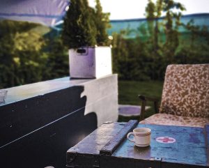 amenajeaza-ti singur gradina