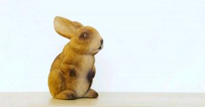 despre testarea pe animale a cosmeticelor