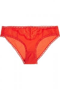 stella mccartney red thong