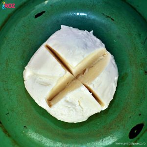 mozzarella