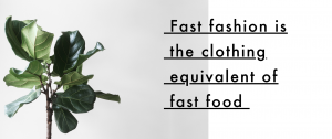 sustainability and jeans