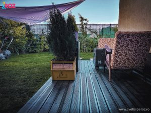 gradina la bloc