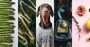 5 conturi romanesti de instagram de urmarit