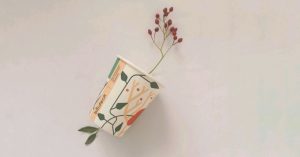 produse din plante de la biodeck