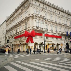 viena iarna