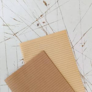 caiete muji
