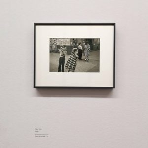 expo fotografie viena