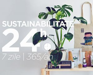 idei pentru o viata sustenabila
