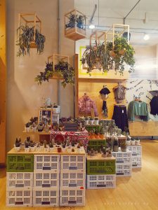 plants at urban outfitters