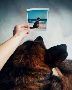 cu igor la mare