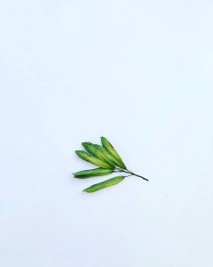 primavara minimalista