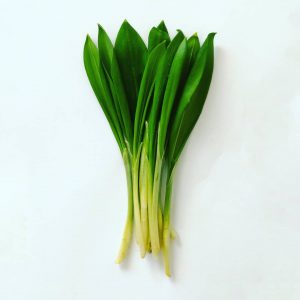 leurda