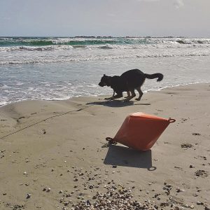 bucurie la mare
