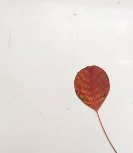 minimalism