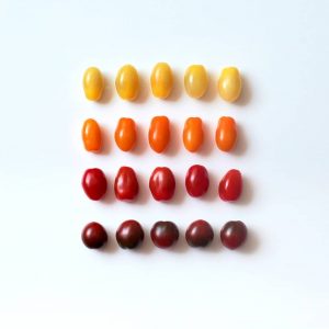 tot felul de rosii colorate