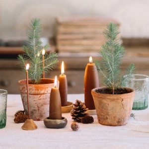 decor eco pentru masa de craciun