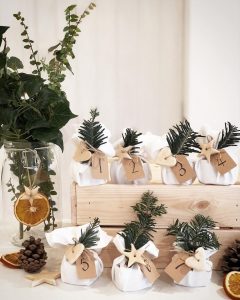 eco advent