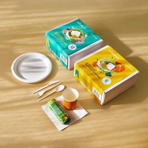 biodeck pachete picnic eco