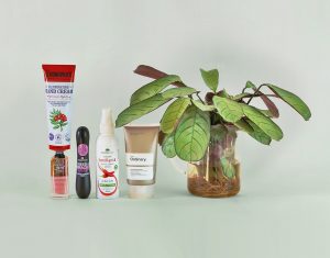 produse cosmetice vegane pentru un buget redus