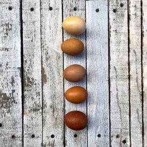 oua vopsite eco cu ingrediente din bucatarie