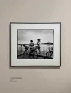 araki albertina modern