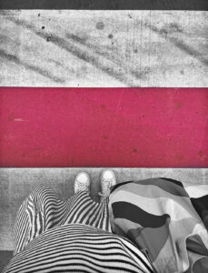aveti si pe roz prin viena