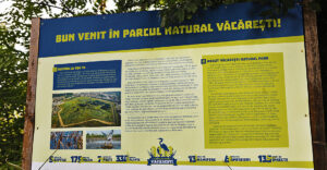 delta vacaresti panou