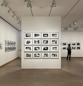 expozitie araki albertina modern viena