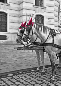 o plimbare prin viena