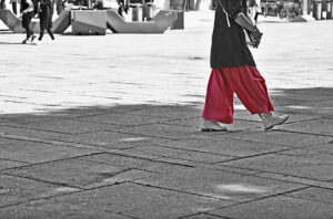 roz in viena
