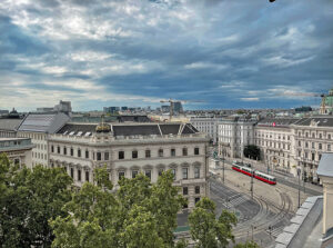 grand ferdinand vedere de pe terasa