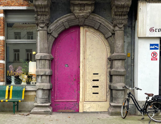 25 de poze roz din belgia