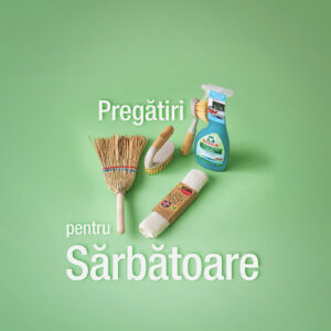 am grija de casa si de planteta