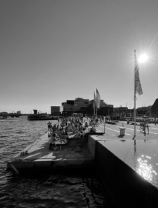 la plaja in copenhaga