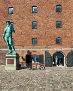vedere din copenhaga