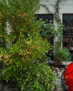 in curtea magazinului merci paris