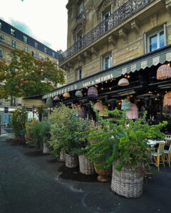 in vizita la paris