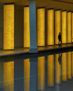 la fondation louis vuitton