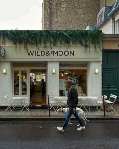 wild and the moon paris