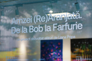 expo amzei (re)aranjata de la bob la farfurie