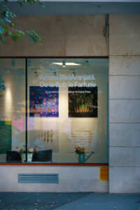 expozitie cu plansele #aranjatedeliana