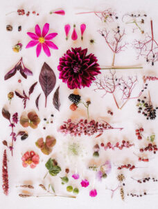 workshop aranjate cu liana plansa valentinei