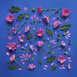 un buchet de flori roz