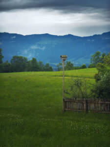 cateva zile in bregenzerwald austria